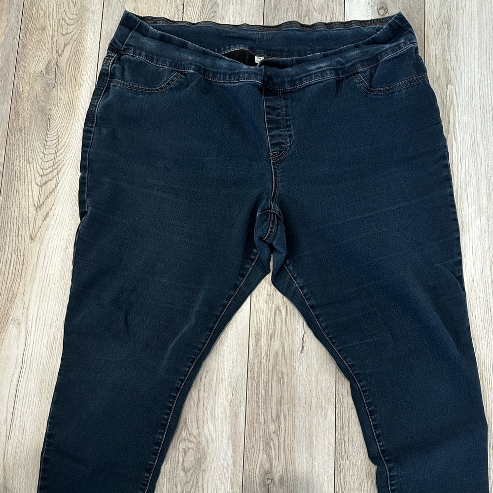 Style & Co Jegging Jeans Leggings 24W